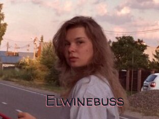 Elwinebuss