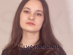 Elwynabach