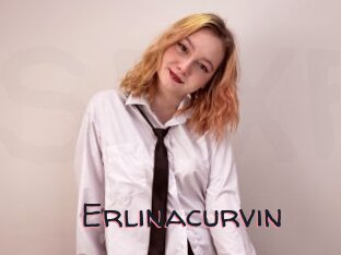 Erlinacurvin