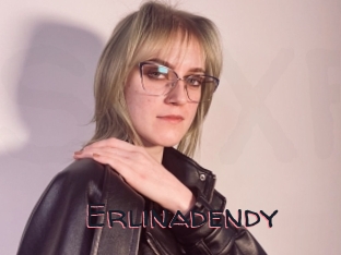 Erlinadendy