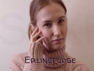 Erlinefudge