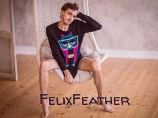 FelixFeather