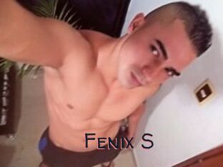 Fenix_S