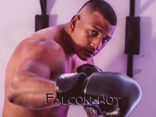 Falcon_hot