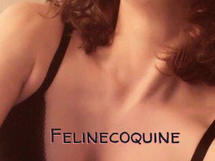 Felinecoquine