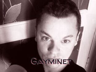 Gayminet