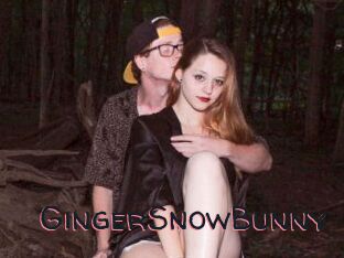 GingerSnowBunny