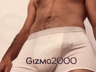 Gizmo2000