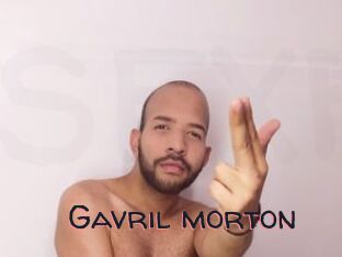 Gavril_morton