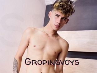 Gropingvoys