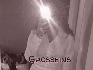 Grosseins