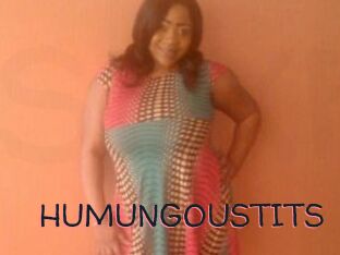 HUMUNGOUSTITS