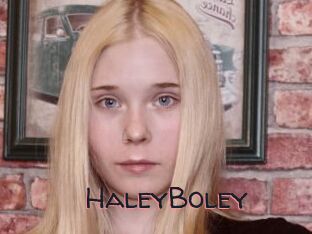 HaleyBoley