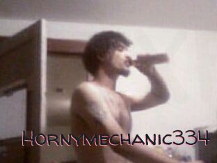 Hornymechanic334