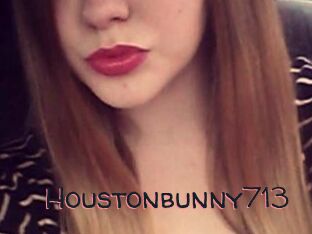 Houstonbunny713