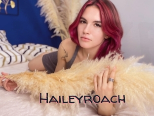 Haileyroach