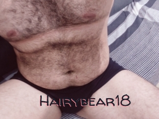 Hairybear18