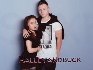 Halleyandbuck