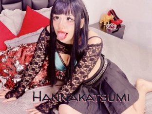 Hannakatsumi