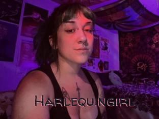 Harlequingirl