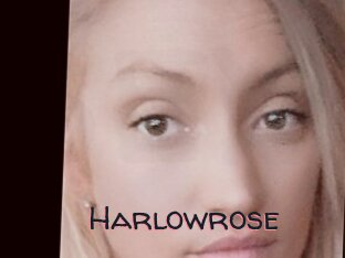 Harlowrose