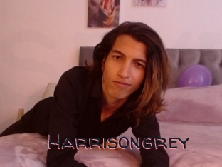 Harrisongrey