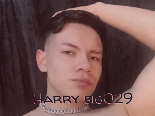 Harry_big029