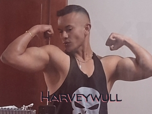 Harveywull