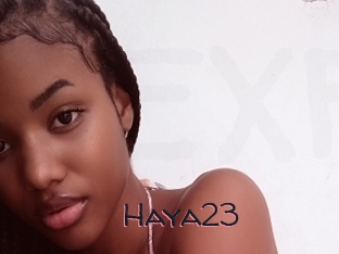 Haya23