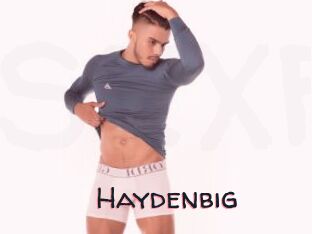 Haydenbig