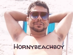 Hornybeachboy