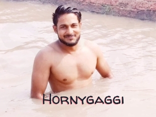 Hornygaggi