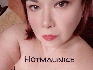 Hotmalinice