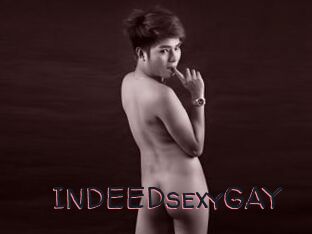 INDEEDsexyGAY