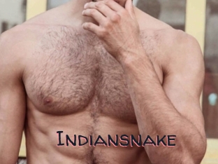 Indiansnake