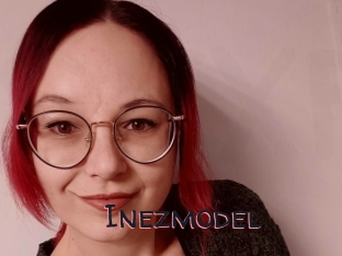 Inezmodel