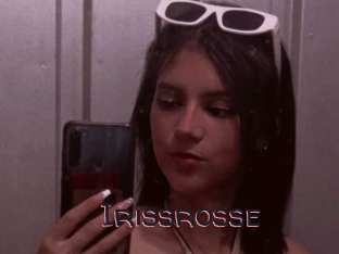 Irissrosse