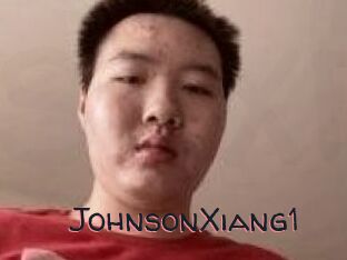 JohnsonXiang1