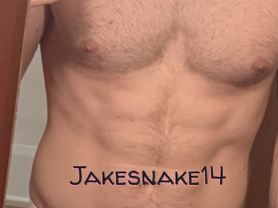 Jakesnake14