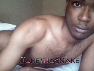 Jake_tha_snake