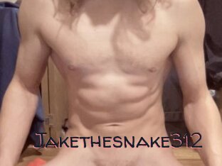 Jakethesnake312