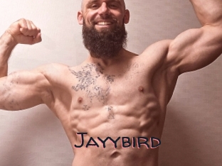 Jayybird