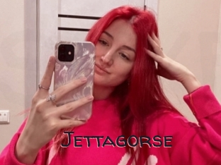 Jettagorse