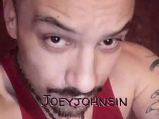 Joeyjohnsin