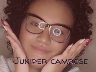 Juniper_camrose