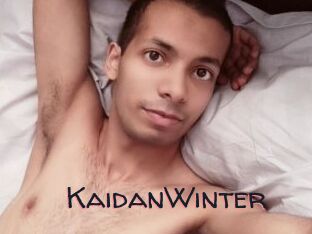 KaidanWinter