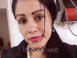 KinkyVane