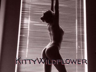 KittyWildflower