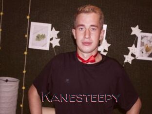 Kanesteepy