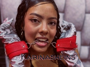 Karinasheins